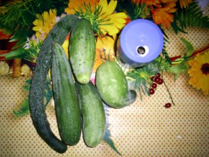 Крокодил из огурца