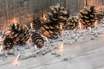 Можно дополнить композицию из шишек электрической гирляндой Можно дополнить композицию из шишек электрической гирляндой