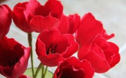 Оригинальные поделки из гофрированной бумаги своими руками: цветы Оригинальные поделки из гофрированной бумаги своими руками: цветы