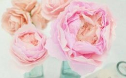 Оригинальные поделки из гофрированной бумаги своими руками: цветы Оригинальные поделки из гофрированной бумаги своими руками: цветы